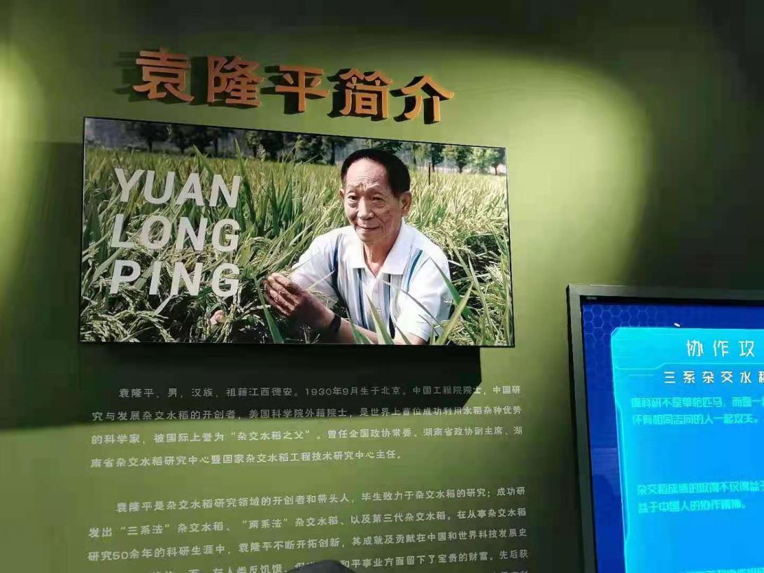 国产无码
师生悼念袁隆平院士：巨星陨落，精神长存！